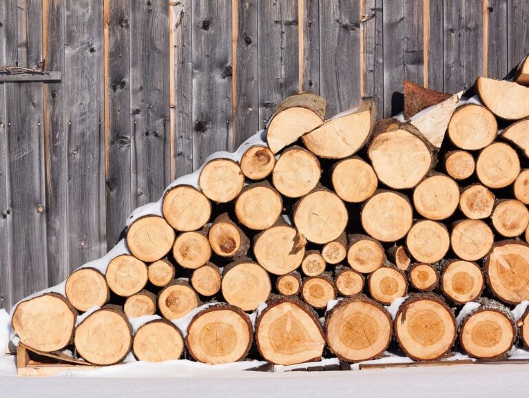 Где и как заказать дрова от государства, чтобы не попасться на удочку мошенников