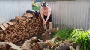 дрова