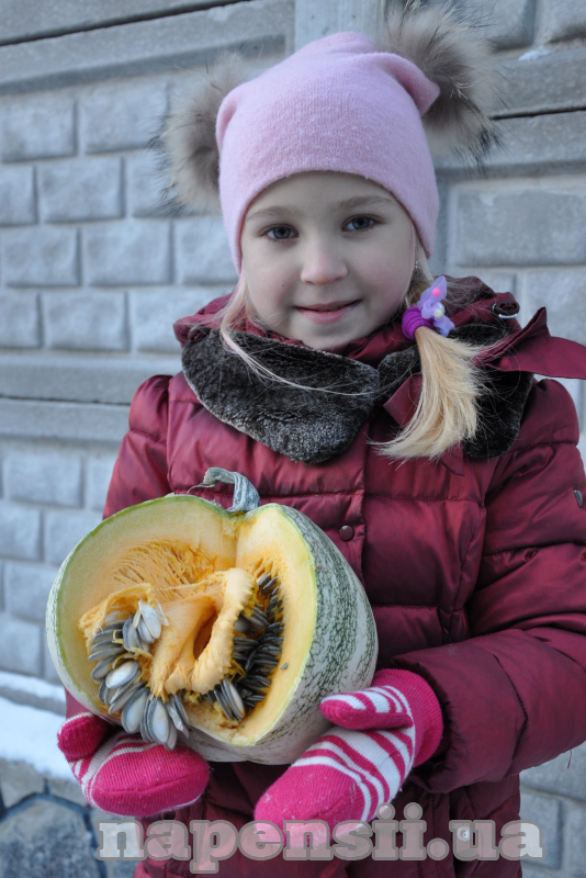 Овощевод из Днепропетровской области рассказал о тыкве, которая продлевает молодость