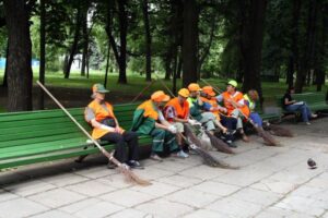 Дворники на участке