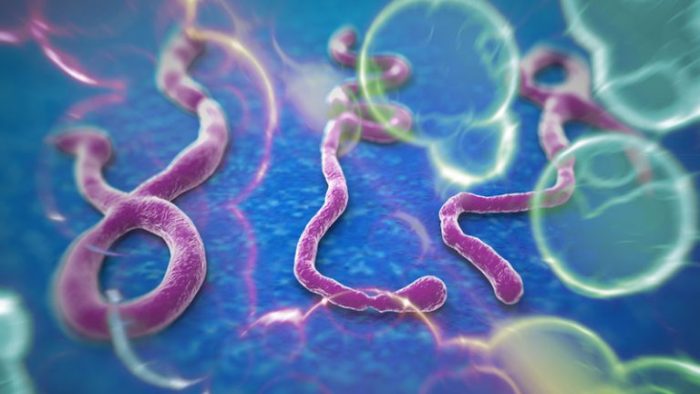 Минздрав готовится к борьбе с вирусом Эбола