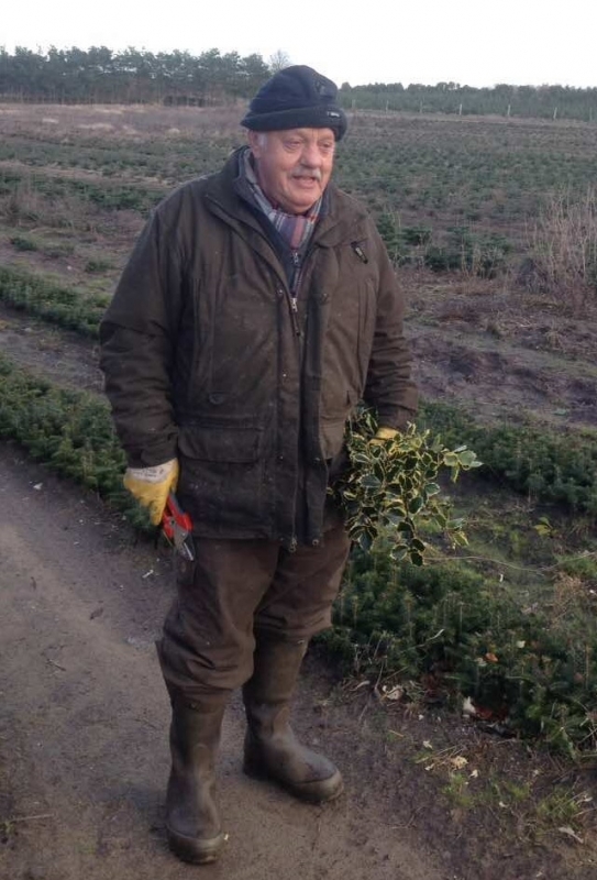 70-летний пенсионер выращивает тысячи елок