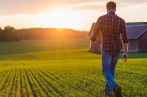 фермер обучение