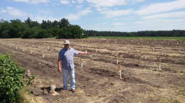 Большая плантация киви появилась в Черкасской области