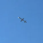 герань 5