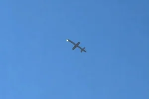 герань-5