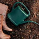 город зимой