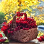гороскоп