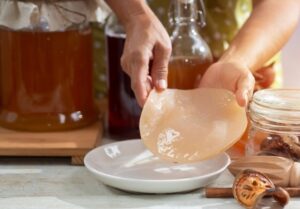 Чайний гриб