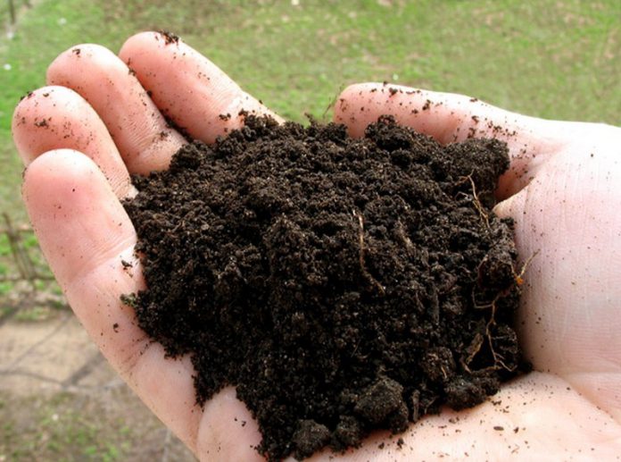 Определить состав почвы - не проблема