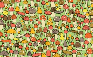 обложка гловоломки