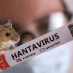 хантавірус