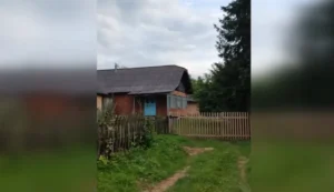 Хата в селі