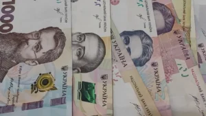 деньги от немецкого правительства