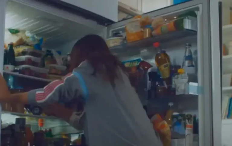 холодильник с продуктами