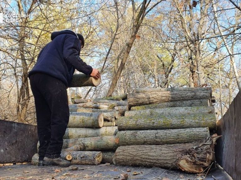 зберігання дров