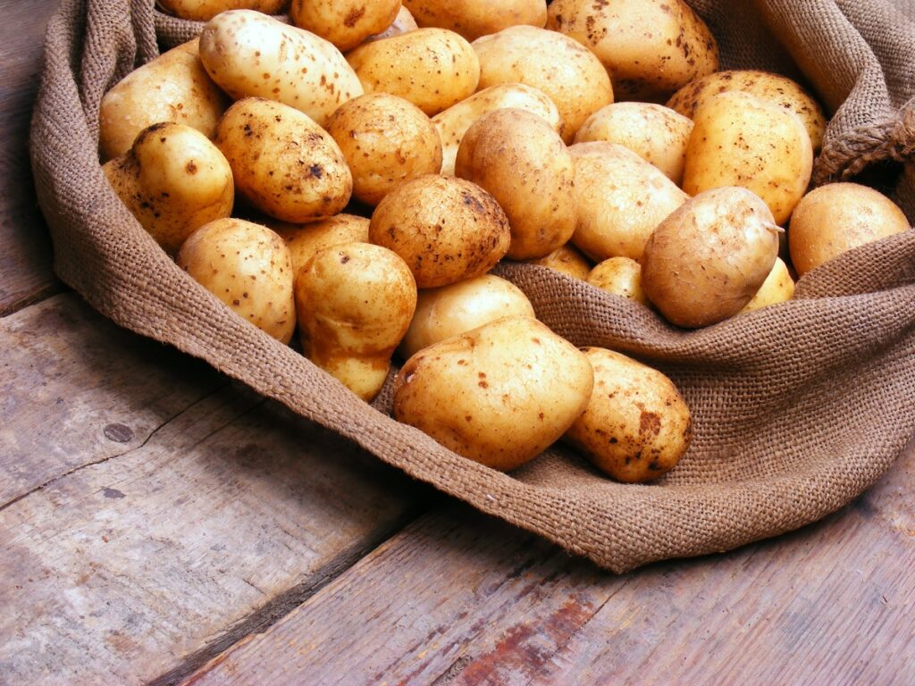 картофель хранение