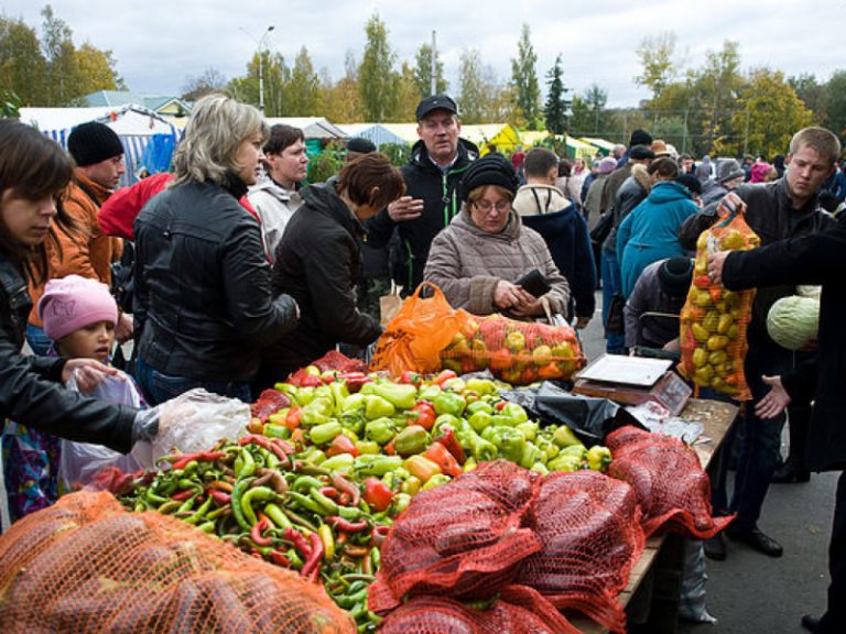 Киевлян приглашают посетить сельскохозяйственные ярмарки