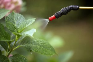 инсектициды