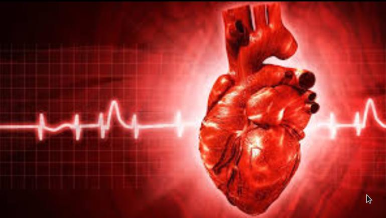 Как распознать проблемы с сердцем и своевременно уберечься от ишемической болезни