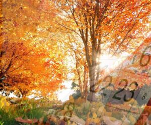 Календарь октября