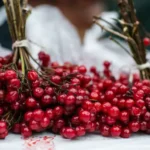 калина: как сохранить полезные свойства