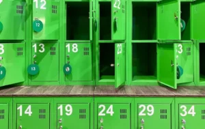 Камера схову