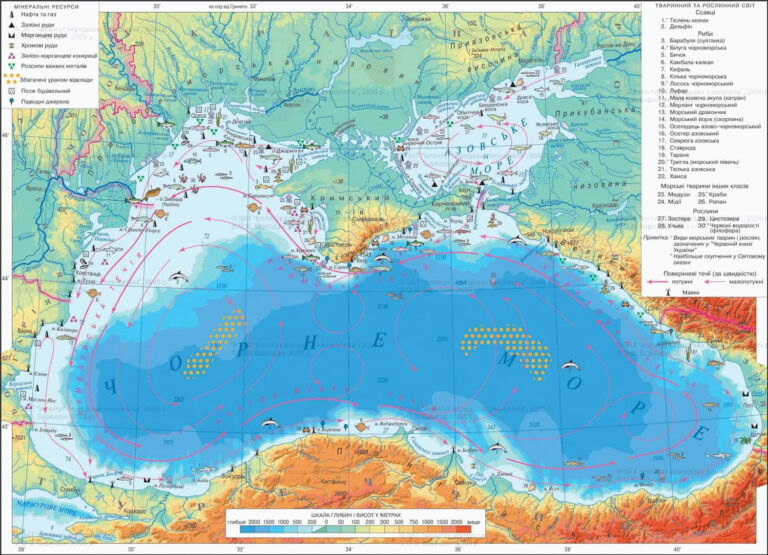 Екологічні наслідки підриву греблі Каховської ГЕС: в акваторію Чорного моря припливає сміття та міни із зон трагедії