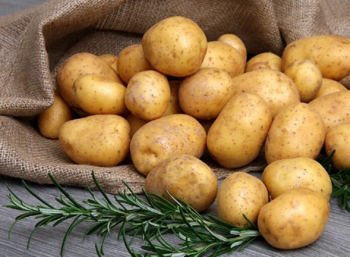 цена на картофель будет расти