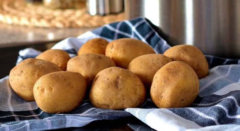 Ученые назвали виды картофеля, которые снижают уровень сахара в крови