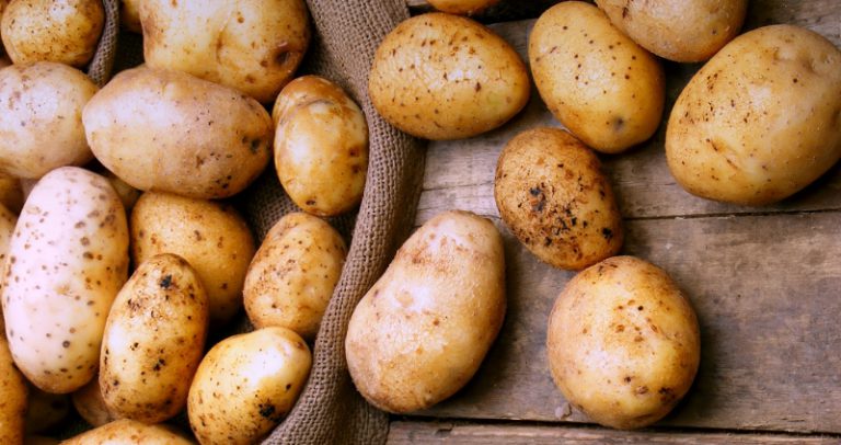 В Беларуси в 2020 году будут выращивать меньше картофеля