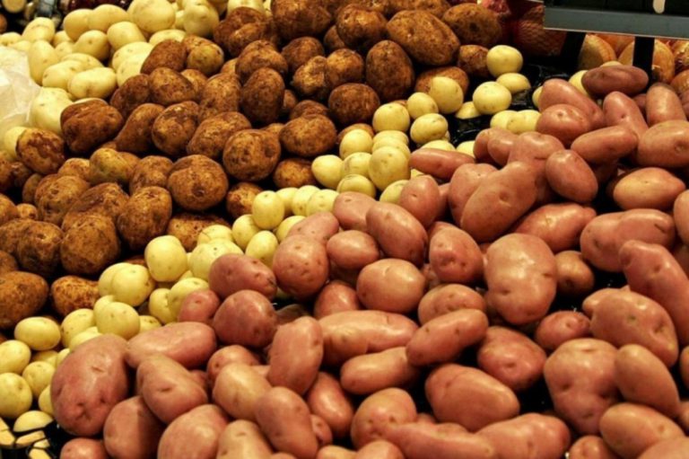 Больше всего картофеля Украина завозит из Беларуси