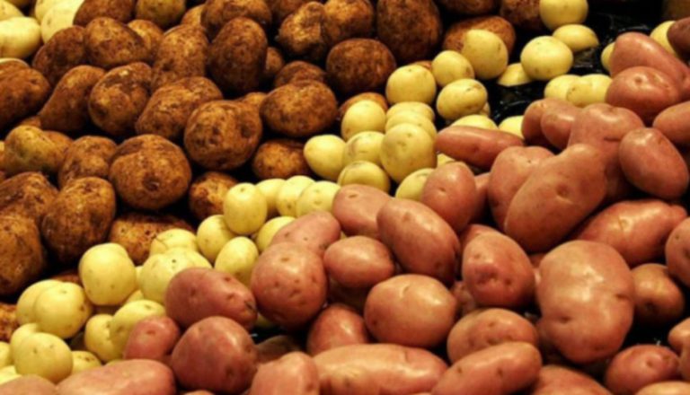 Украина увеличила импорт картофеля в 6 раз
