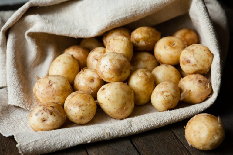 Украинские аграрии первый картофель высадили еще в январе