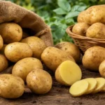 Картопля