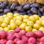 картофель