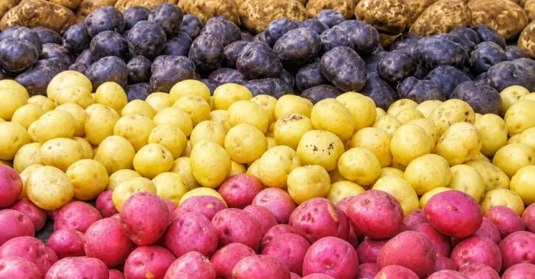 картофель