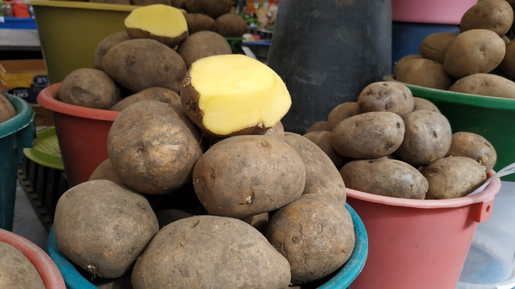 картофель
