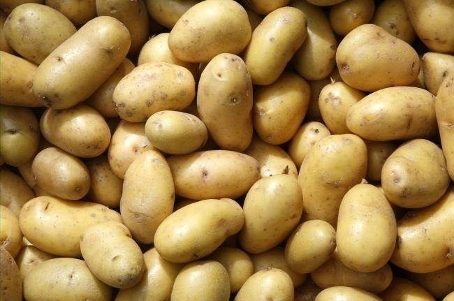 картофель импорт