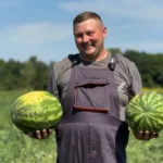 Арбузы