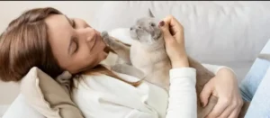 кошка
