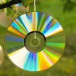 компакт-диск на дереві