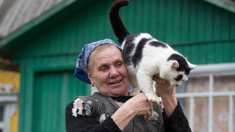 Литовские пенсионеры стерилизуют кошек бесплатно