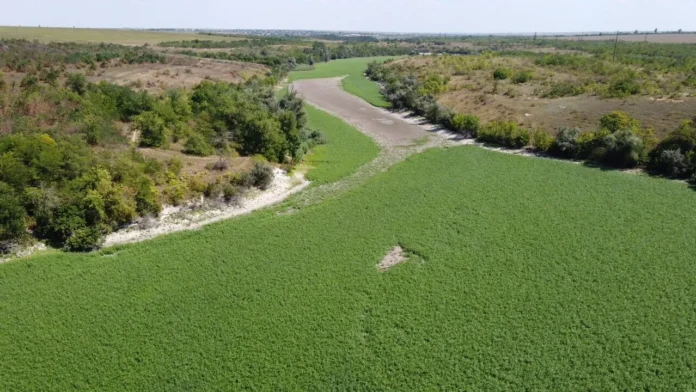 Дно Каховского водохранилища