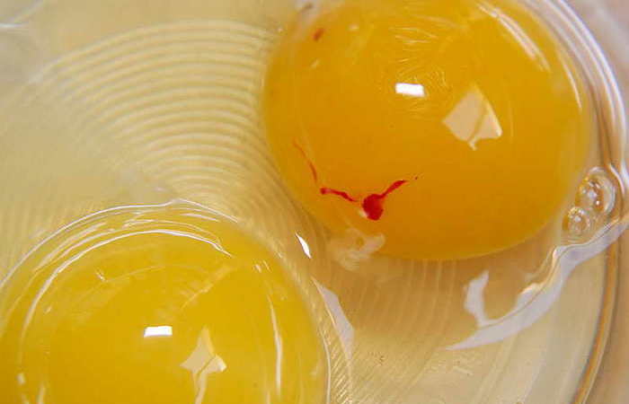 Что значит красное пятно на желтке и можно ли есть такие яйца – ответ удивит многих