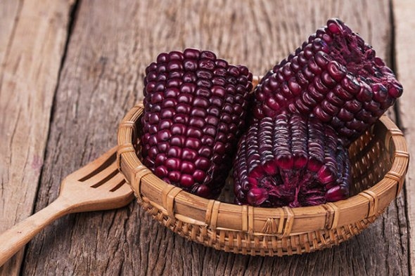 Винницкий селекционер вывел новый сорт фиолетовой кукурузы