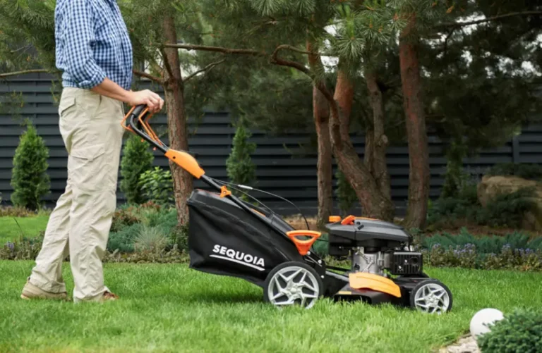Газонокосарка для власників дач