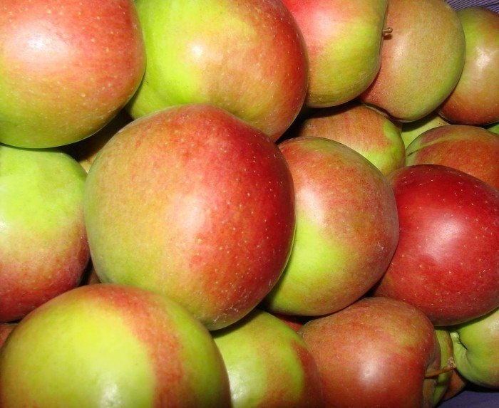 Названы сорта яблок, которые наиболее подорожали в нынешнем сезоне