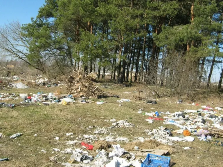 сміття