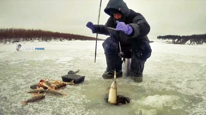 зимняя рыбалка